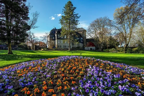 Der Altstadt- und Schlosspark Siegen. Ein blühendes Blumenbeet mit lila und orangefarbenen Stiefmütterchen im Vordergrund, das von einem gepflegten grünen Rasen umgeben ist. Im Hintergrund erhebt sich ein großes, historisches Gebäude mit einem dunklen Dach und mehreren Fenstern. Um das Gebäude herum sind mehrere Bäume und Sträucher zu sehen, die zum Gesamtbild der ruhigen, sonnigen Landschaft beitragen. Der Himmel ist blau mit ein paar weißen Wolken, was eine angene