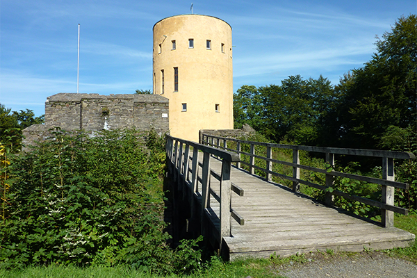 Das Bild zeigt die Ginsburg von der Brücke aus in Richtung des Turmes fotografiert. Ein gelber Turm und einer Holzbrücke, die zu der Burg führt. Der Eingang zur Burg ist von grünen Sträuchern und Bäumen umgeben, die die natürliche Umgebung hervorheben. Der Himmel ist klar und blau, was auf einen sonnigen Tag hinweist. Die Struktur der Burg ist aus grauen Steinen gebaut, und die Brücke besteht aus robustem Holz.