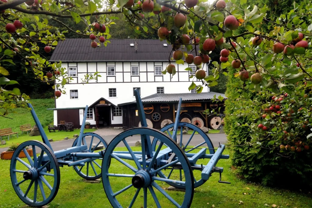 Die Wassermühle Nenkersdorf. Das Bild zeigt einen historischen Bauernhof im ländlichen Raum, der im traditionellen Fachwerkstil erbaut ist. Im Vordergrund sind zwei große, blaue Holzwagenräder sichtbar, die auf einem grünen Rasen liegen. Im Hintergrund steht das Haus mit einem schwarzen Dach und weißen Wänden, umgeben von Bäumen mit reifen Äpfeln. Der Hof wirkt einladend und zeigt einen ländlichen Charme, während im hinteren Bereich eine Scheune zu sehen ist,