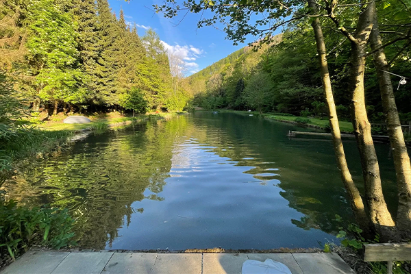Der Obernauer Weiher vom Steg ins Wasser fotografiert. Das Bild zeigt eine ruhige, idyllische Landschaft mit einem klaren Wasserlauf, umgeben von üppigem, grünem Wald. An den Ufern spiegeln sich die umliegenden Bäume im Wasser, während sanfte Wellen von einer leichten Brise erzeugt werden. Im Hintergrund erstrecken sich hügelige Berge unter einem blauen Himmel mit einigen Wolken. Der Vordergrund zeigt einen Holzsteg, der zu einer kleinen Plattform am Wasser führt.
